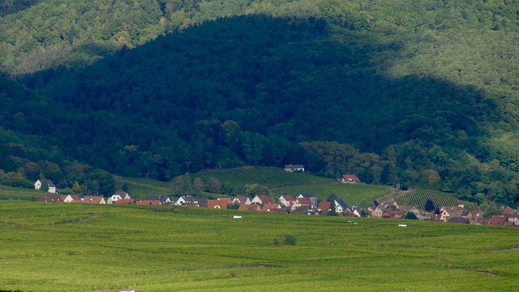 Birgele Villa Riquewihr Eksteriør bilde